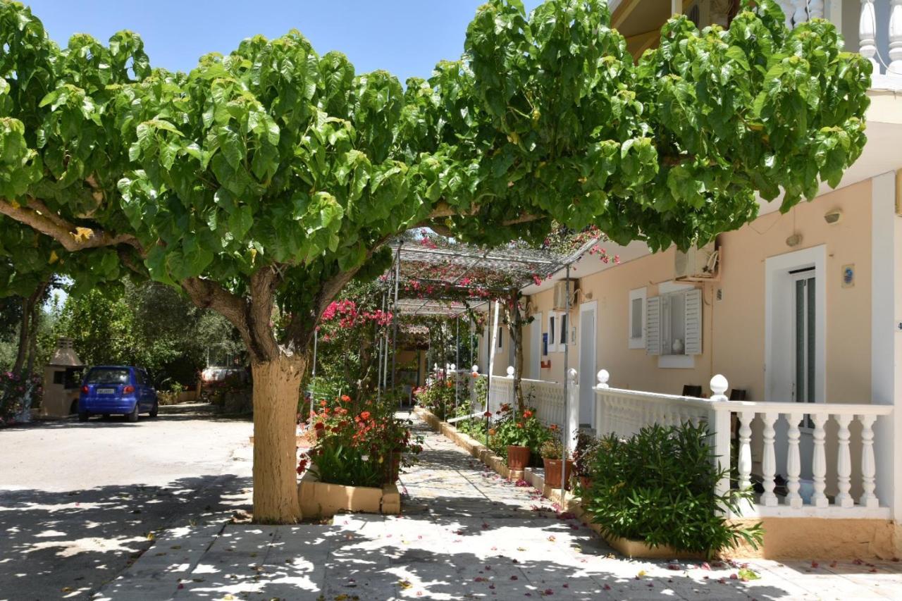 Aparthotel Casa Dyonisia Tsilivi Plános Zewnętrze zdjęcie